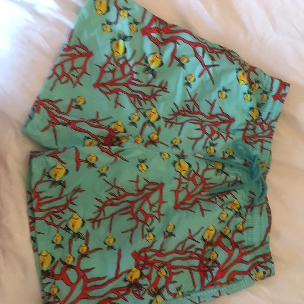 Vilebrequin swim trunks